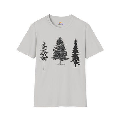 pine trees