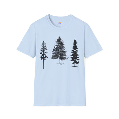 pine trees