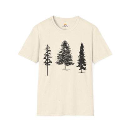 pine trees