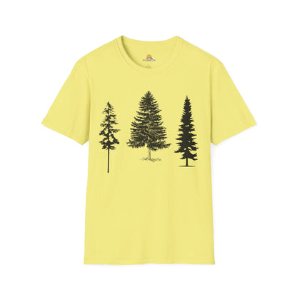 pine trees